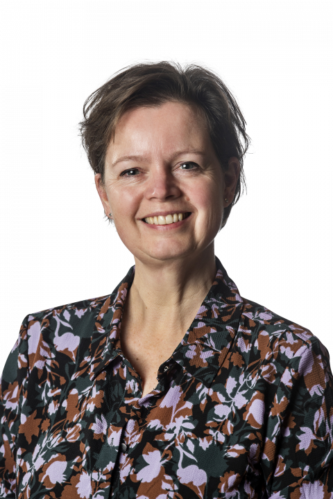 Hedi Egelmeers